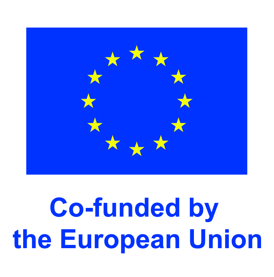 Co-funded by the EU